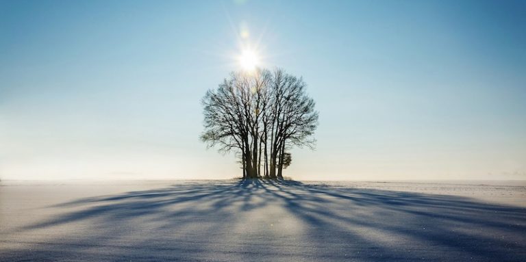 Read more about the article Feeling Lonely? Take Up Bridge