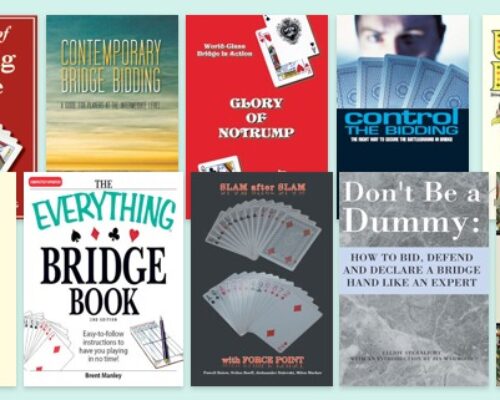 Top 10 Bridge eBooks for iPad
