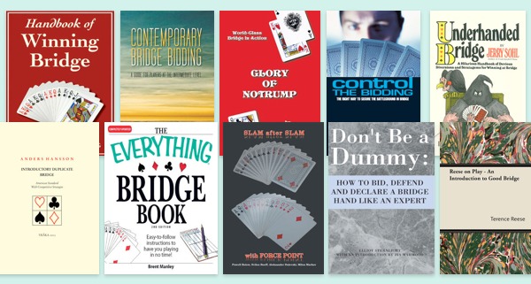 Read more about the article Top 10 Bridge eBooks for iPad