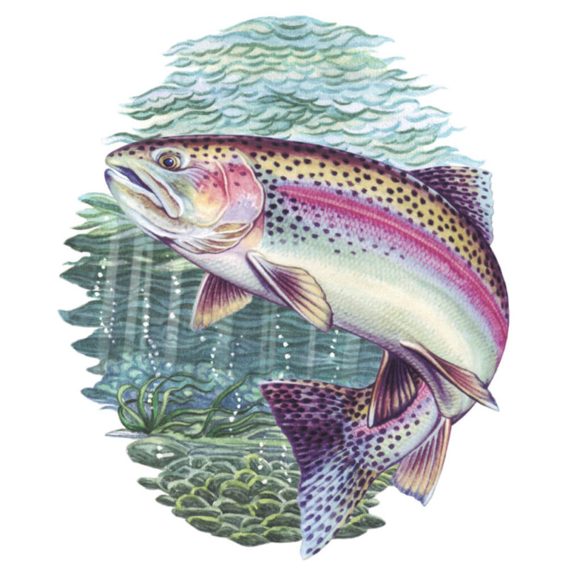 Simon Lucas Score Pad - Rainbow Trout